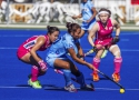 sakura_hawkesbaycup_india